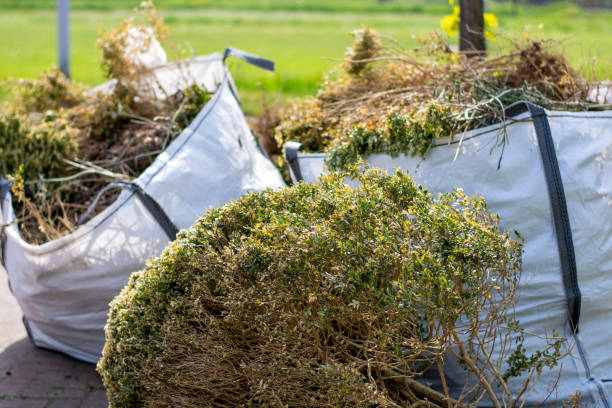 Best Construction Debris Removal  in Chariton, IA